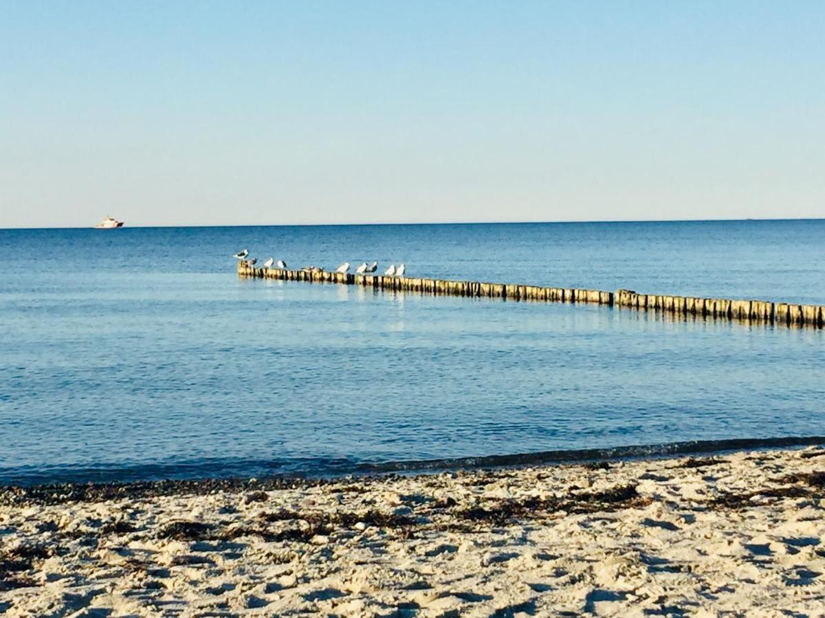 Aparthotel Waterkant Suites direkt am Meer mit Wellnessbereich Börgerende-Rethwisch Exterior foto